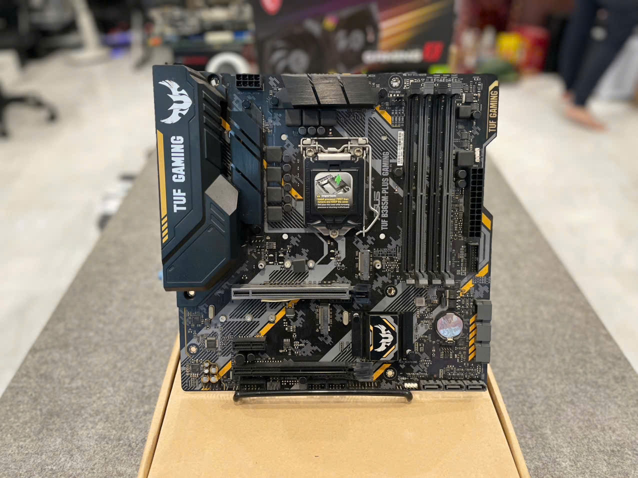 Main B365M-PLUS Asus TUF Gaming