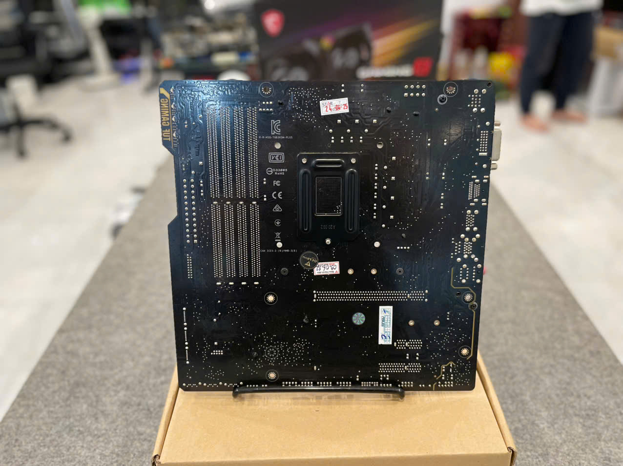 Main B365M-PLUS Asus TUF Gaming